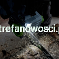 EGO Pilarka akumulatorowa 45cm 18 cali 56V CS1800E.png