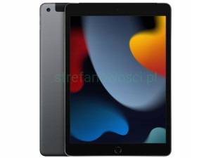 Apple iPad 10.2" 9 gen. 256GB Cellular LTE szary