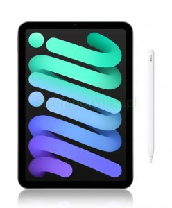 Apple iPad mini 512 GB 8.3" Wi-Fi + Cellular 5G szary zaplombowany EKO Pen