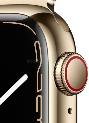 Smartwatch Apple Watch series 7 GPS + Cellular 41mm złoty defekt
