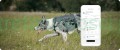 LOKALIZATOR NOTIONE GPS pet PLUS dla Psa Kota + SIM BEZ ABONAMENTU z Polski