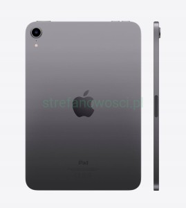 Apple iPad mini 64GB A15 Wi-Fi + Cellular 5G LTE Szary GPS touch ID