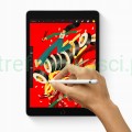 Apple iPad 9 Gen. 64GB A2602 10.2 Wi-Fi Srebrny Dzień Dziecka prezent