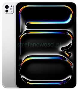 Apple iPad Pro 11" 8GB / 256GB WiFi + Cellular 5G srebrny zaplombowany