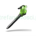 Greenworks GD40BVII.jpg