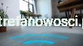 12.png