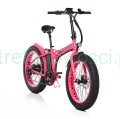 Big-BAD-pink-1.jpg