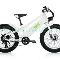BAT-White-300x300.jpg