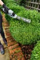 EGO_Shrub_Shrears 4.jpg