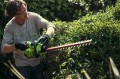 Greenworks_180419_25388-medium.jpg