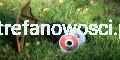 7138132380_4