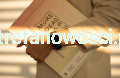 1106.png
