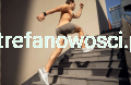 1107.png