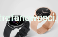 ho08.png