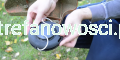 7138132380_6
